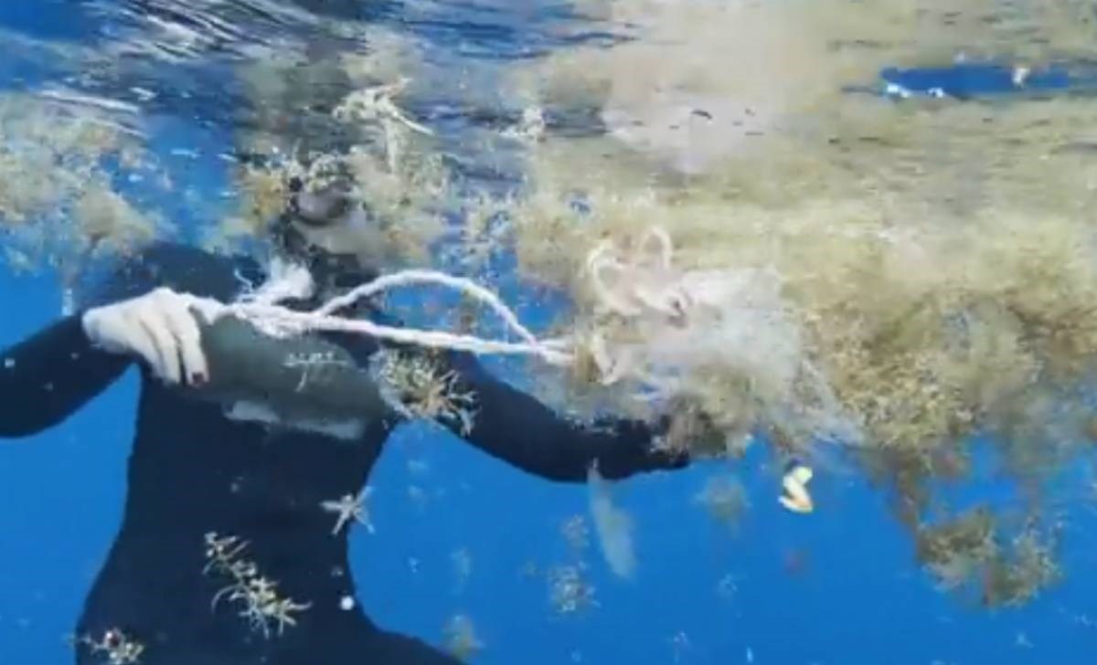 VIDEO Na sjeveru Atlantskog oceana uočene ekstremne razine mikroplastike